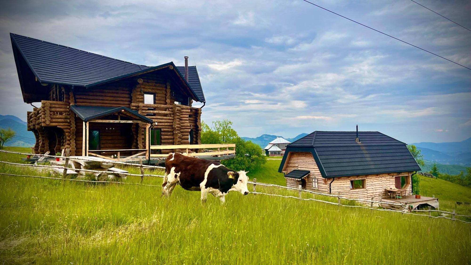 The Barn Villa Şirnea Exterior foto