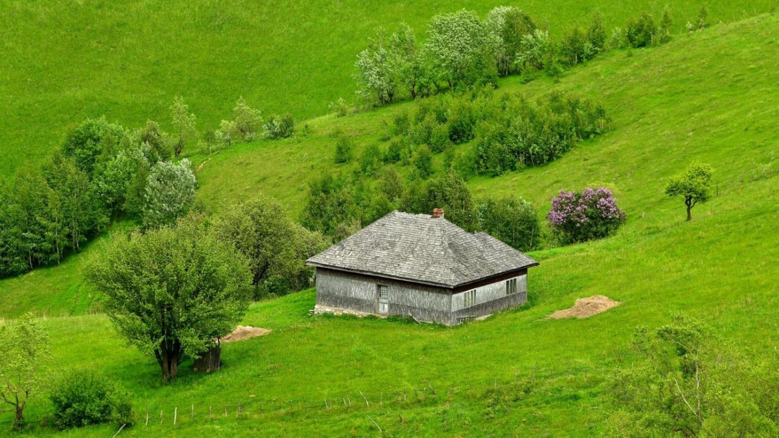 The Barn Villa Şirnea Exterior foto